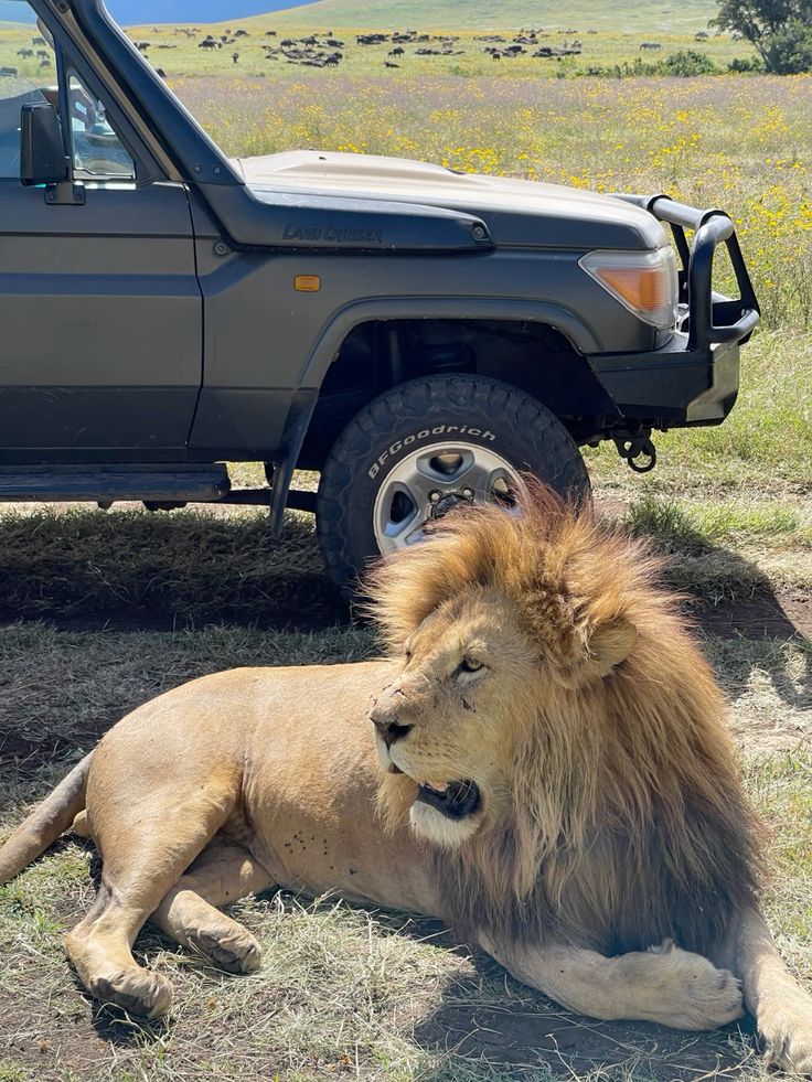 3-Day Zanzibar to Ngorongoro, Tarangire & Hadzabe Safari